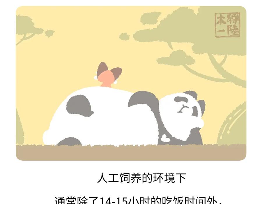 《胖达x胖达》第183话 第22页
