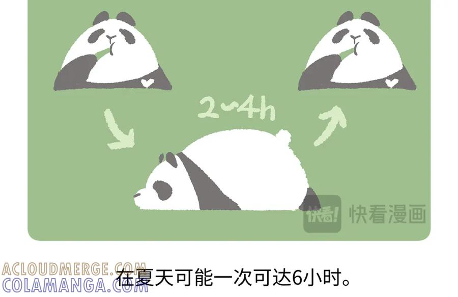 《胖达x胖达》第183话 第21页