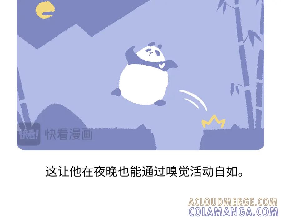 《胖达x胖达》第183话 第29页