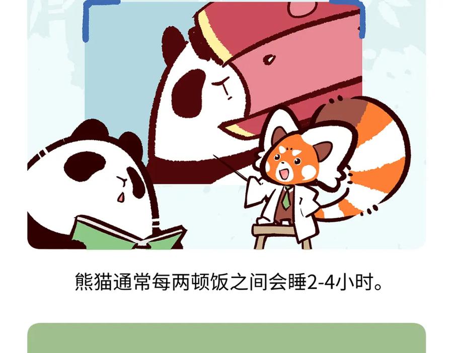 《胖达x胖达》第183话 第20页