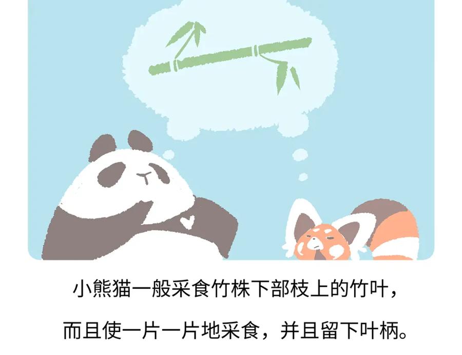 《胖达x胖达》第184话 第18页