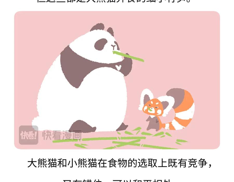 《胖达x胖达》第184话 第20页