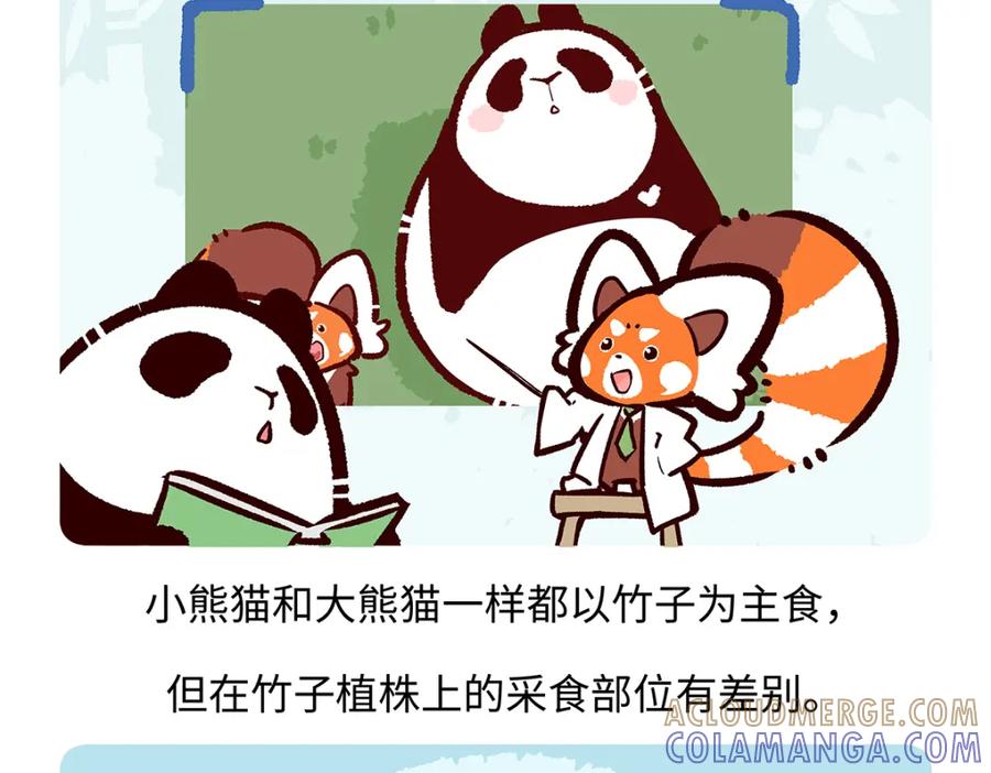 《胖达x胖达》第184话 第17页