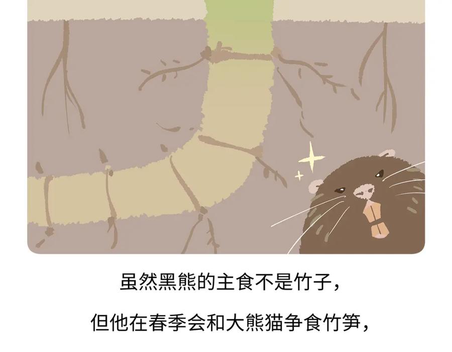 《胖达x胖达》第184话 第24页