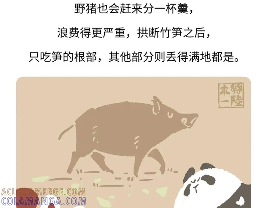 《胖达x胖达》第184话 第27页