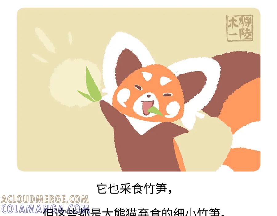 《胖达x胖达》第184话 第19页