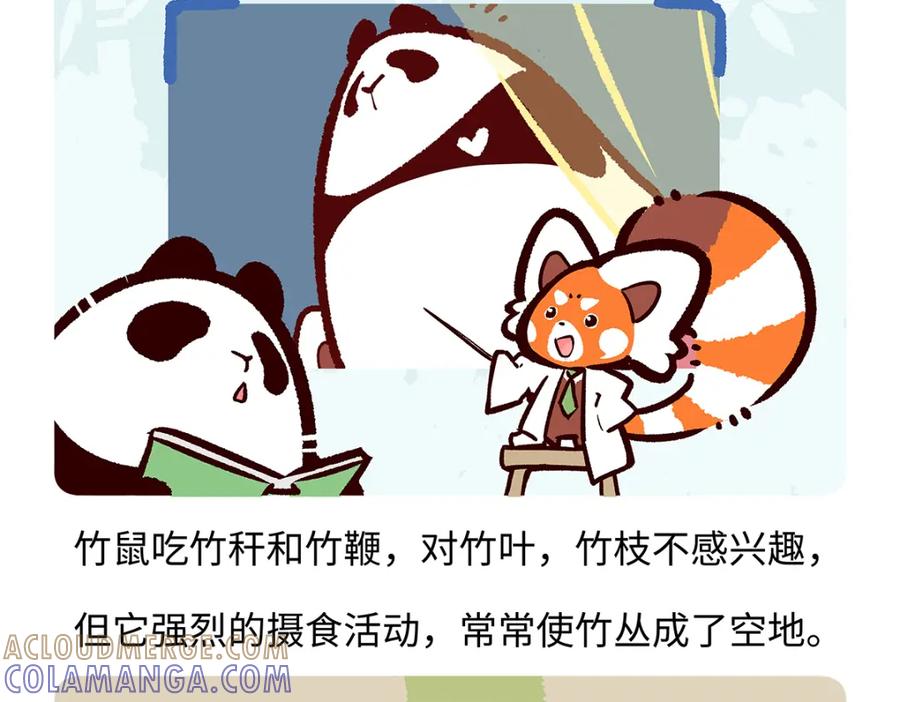 《胖达x胖达》第184话 第23页