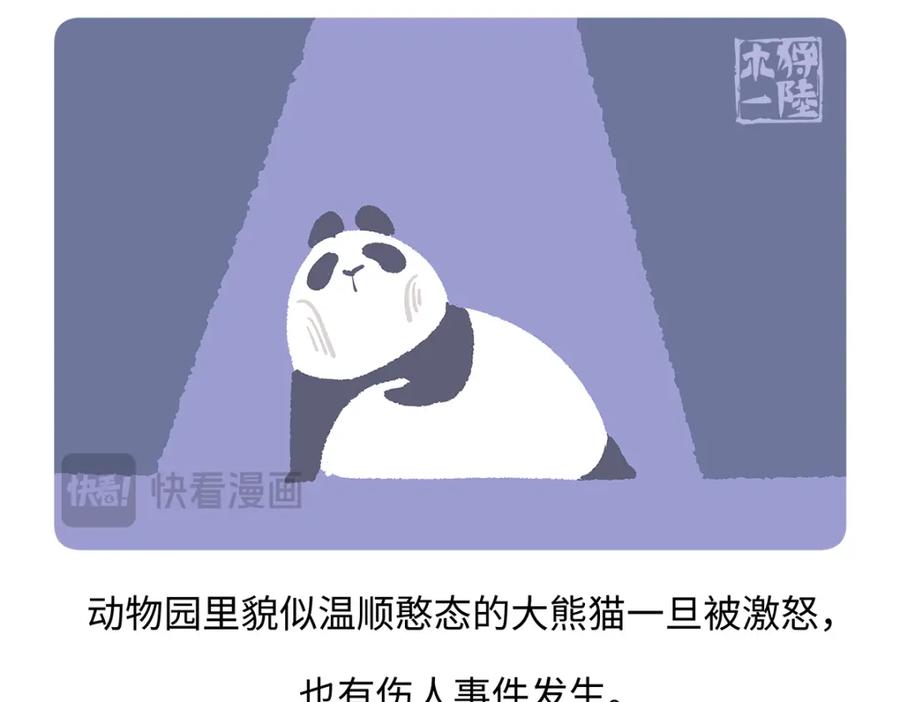 《胖达x胖达》第185话 第20页