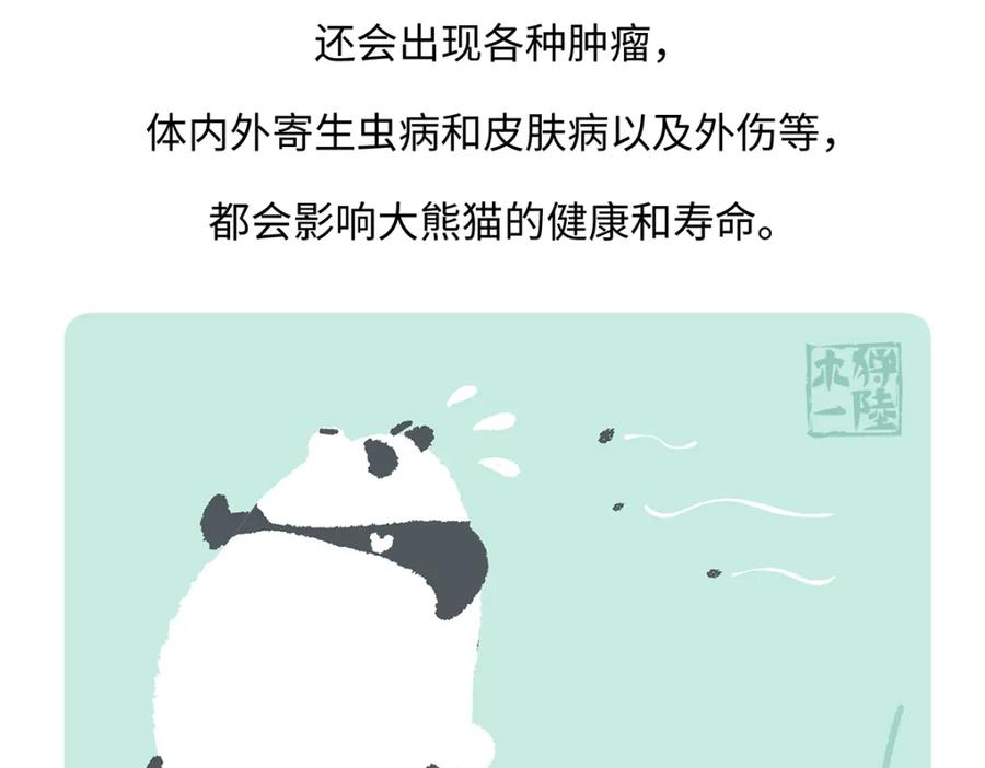 《胖达x胖达》第185话 第26页