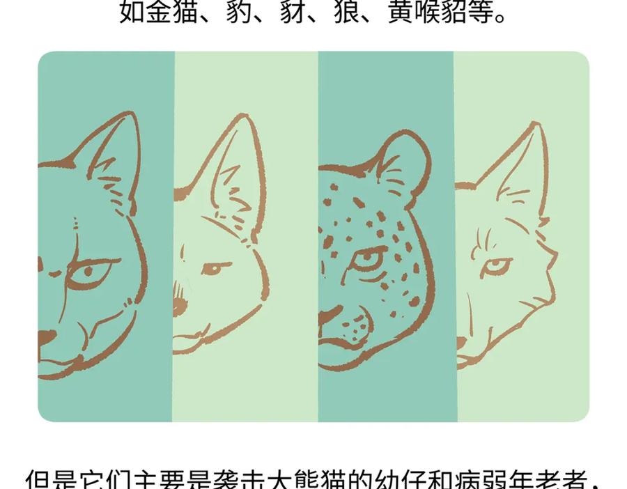 《胖达x胖达》第185话 第18页