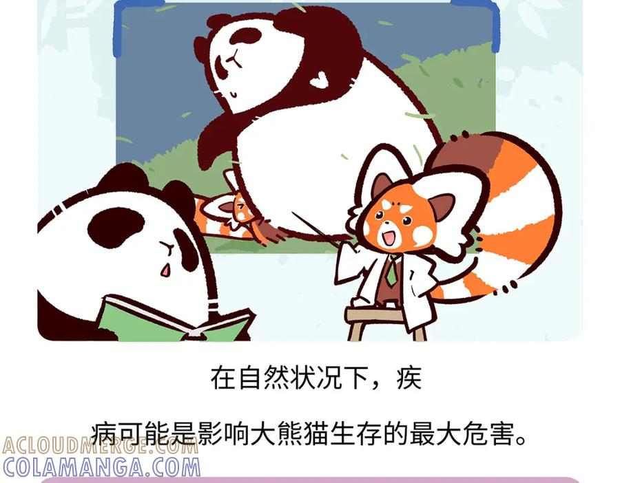 《胖达x胖达》第185话 第23页