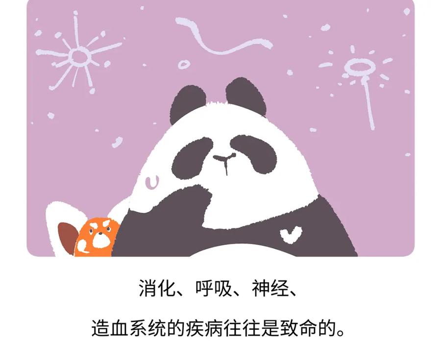 《胖达x胖达》第185话 第24页