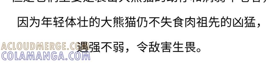 《胖达x胖达》第185话 第19页