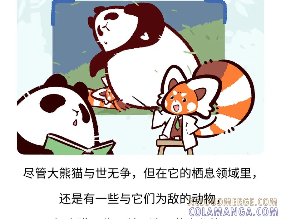 《胖达x胖达》第185话 第17页