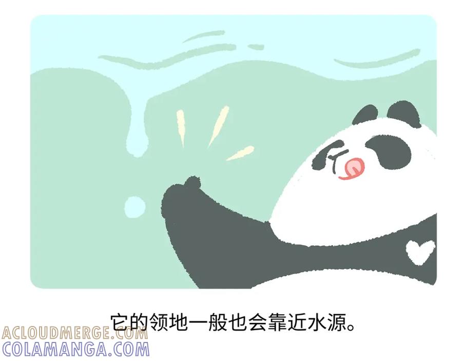 《胖达x胖达》第186话 第27页