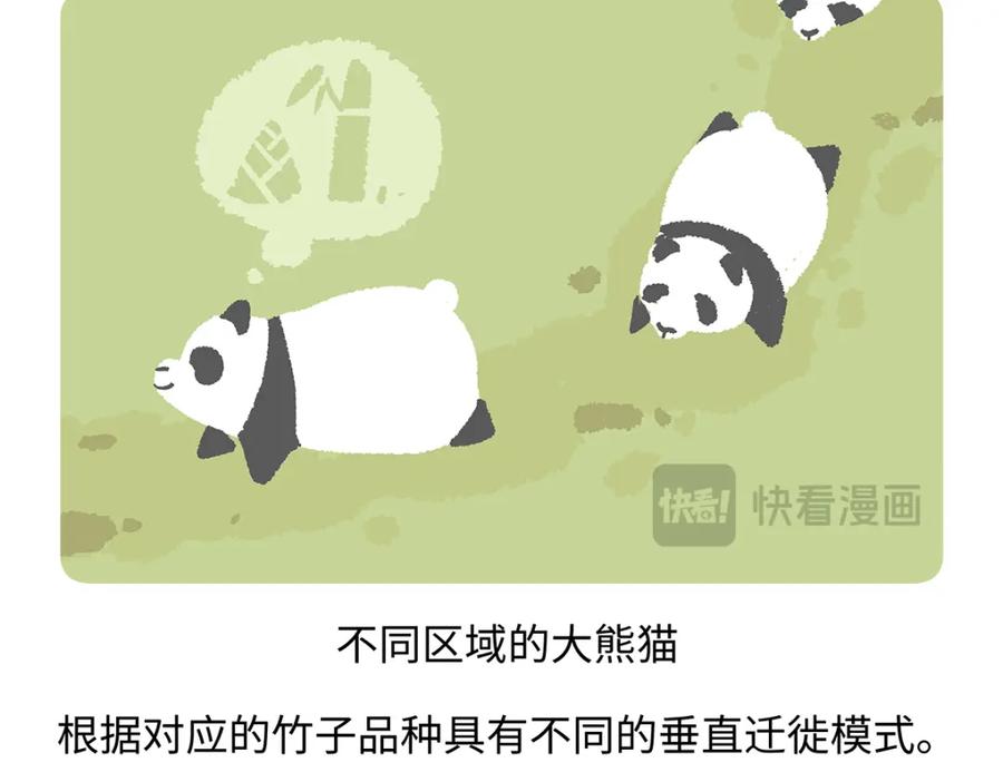 《胖达x胖达》第186话 第18页