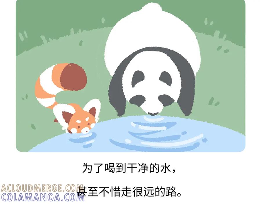 《胖达x胖达》第186话 第25页