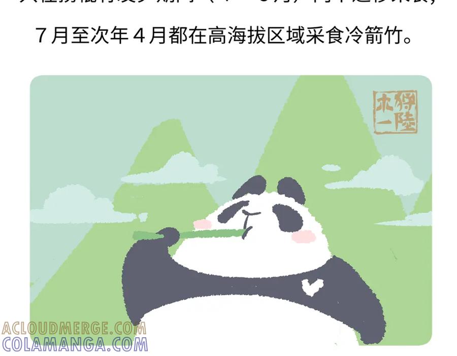 《胖达x胖达》第186话 第21页