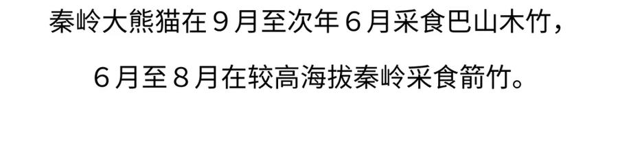《胖达x胖达》第186话 第22页
