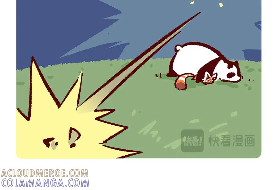 《胖达x胖达》第186话 第5页
