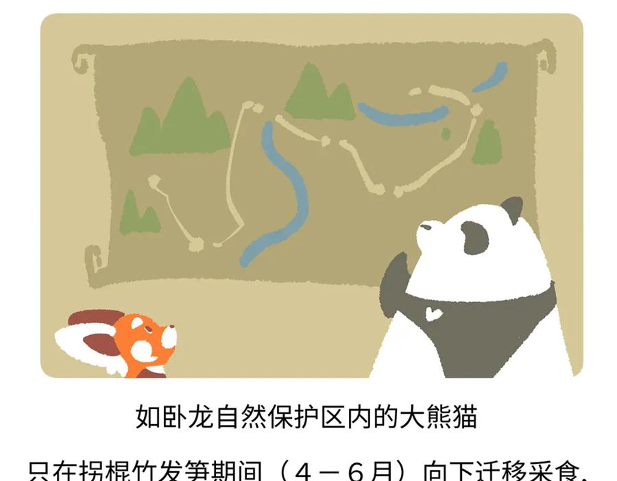 《胖达x胖达》第186话 第20页