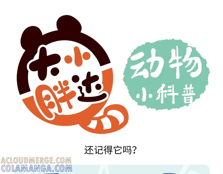 《胖达x胖达》第186话 第23页
