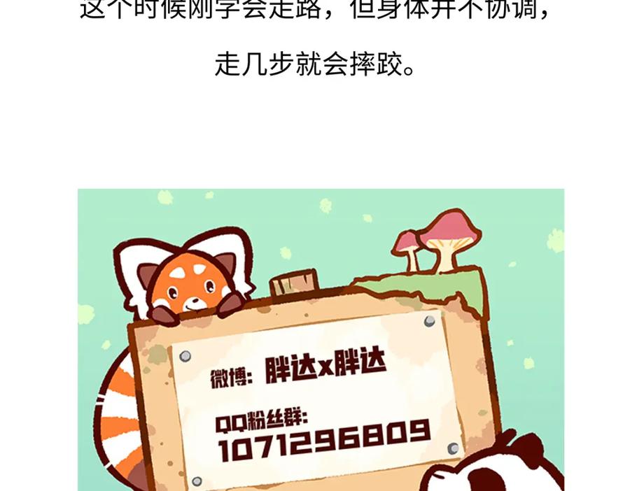 《胖达x胖达》第187话 第32页