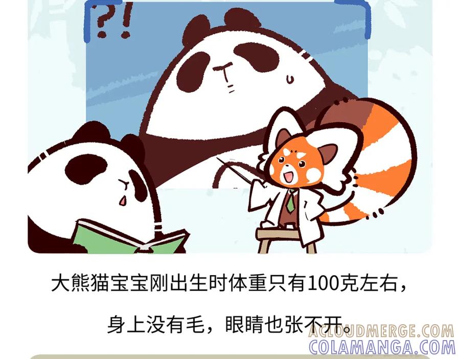 《胖达x胖达》第187话 第27页