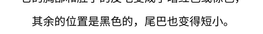 《胖达x胖达》第187话 第30页