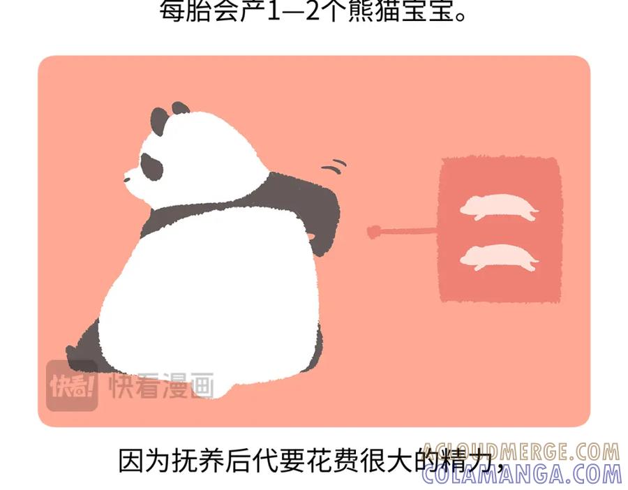 《胖达x胖达》第187话 第21页