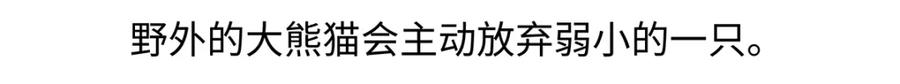 《胖达x胖达》第187话 第22页