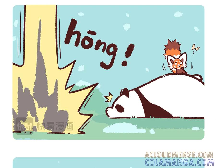 《胖达x胖达》第187话 第15页