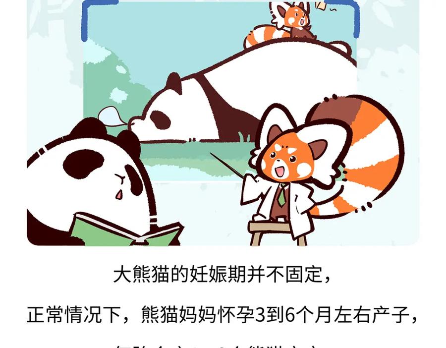《胖达x胖达》第187话 第20页