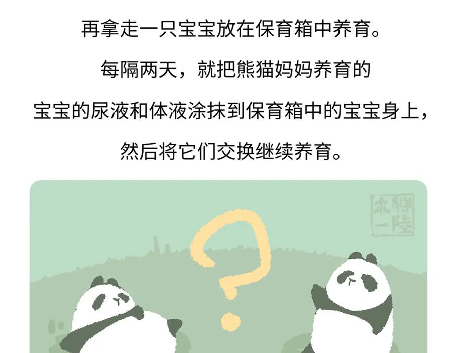 《胖达x胖达》第187话 第24页