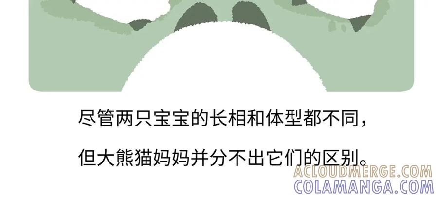 《胖达x胖达》第187话 第25页