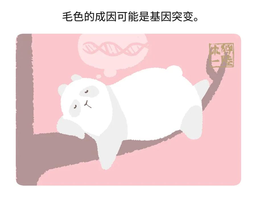 《胖达x胖达》第188话 第24页