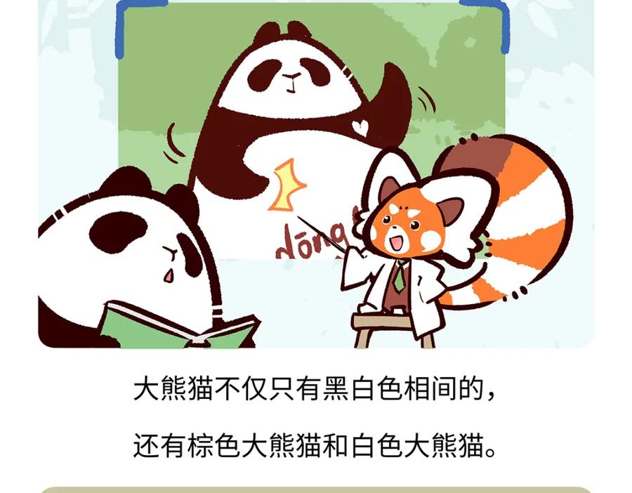 《胖达x胖达》第188话 第20页