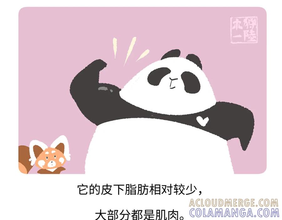 《胖达x胖达》第188话 第31页