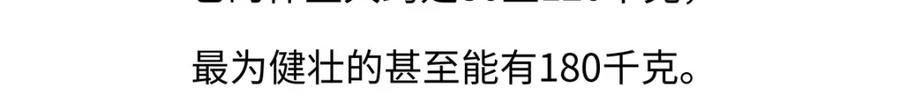 《胖达x胖达》第188话 第30页