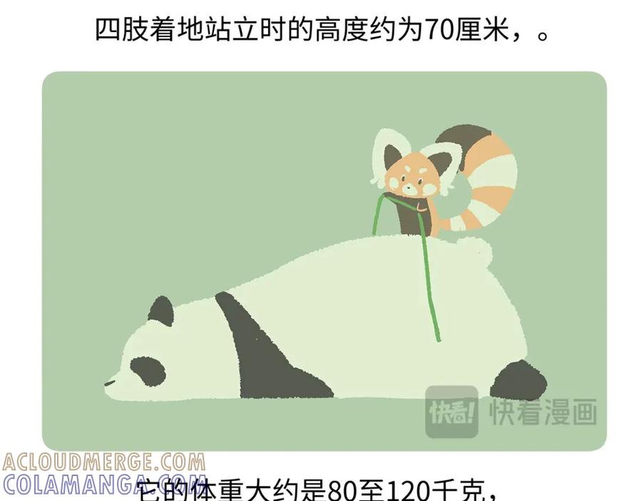 《胖达x胖达》第188话 第29页