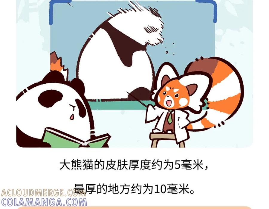 《胖达x胖达》第188话 第27页
