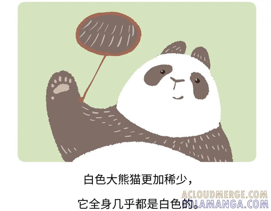 《胖达x胖达》第188话 第23页