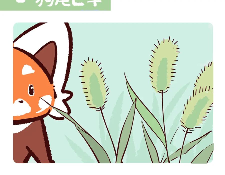 《胖达x胖达》第189话 第2页