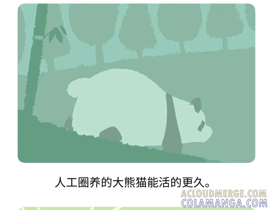 《胖达x胖达》第189话 第19页