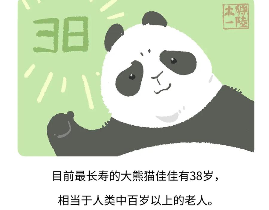 《胖达x胖达》第189话 第20页