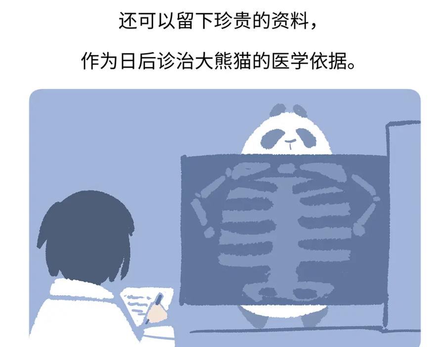 《胖达x胖达》第189话 第26页