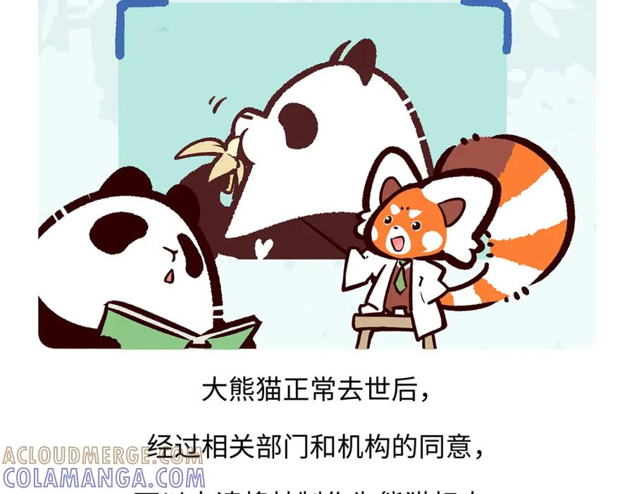 《胖达x胖达》第189话 第23页