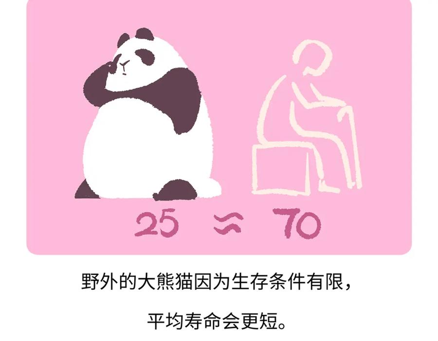 《胖达x胖达》第189话 第18页