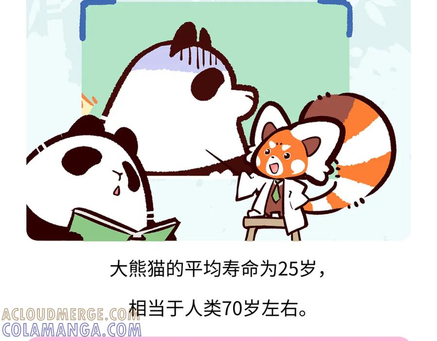《胖达x胖达》第189话 第17页