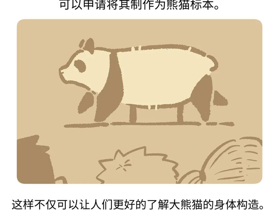 《胖达x胖达》第189话 第24页